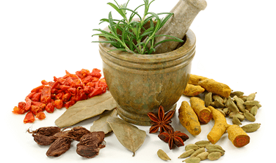 méthodes pour traiter les parasites dans le corps